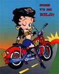pic for Born to be wild